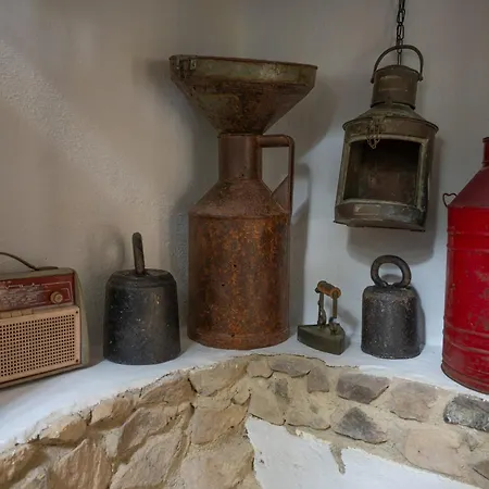 New Family *